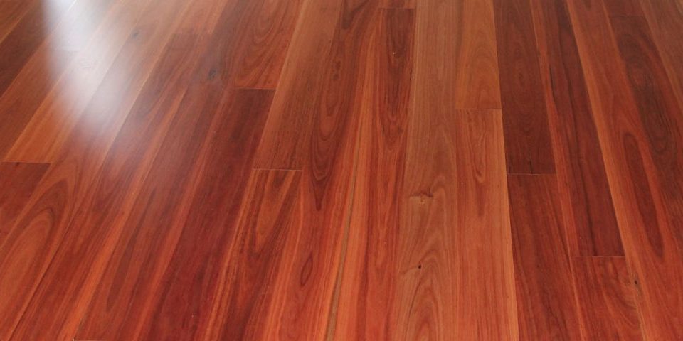 Blue Gum Timber Flooring Melbourne