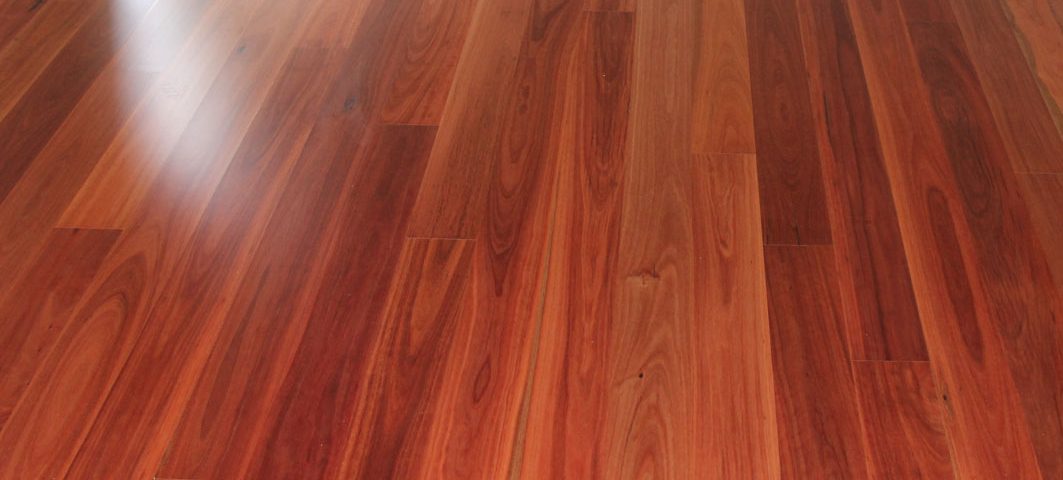 Blue Gum Timber Flooring Melbourne