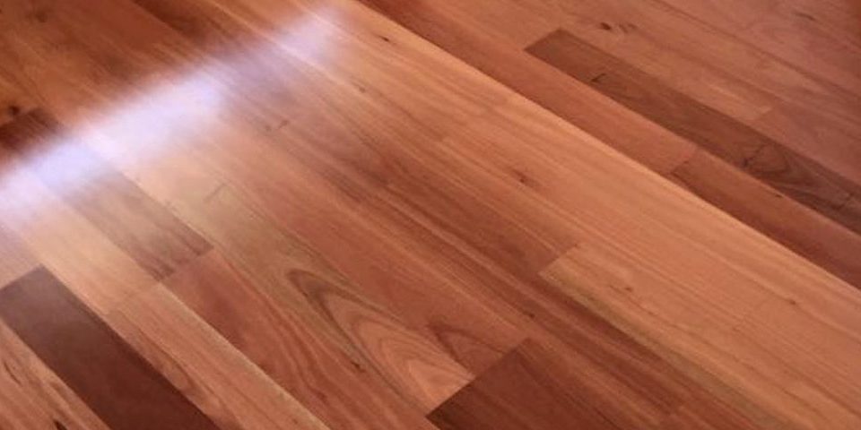 Blue Gum Timber Flooring Melbourne3