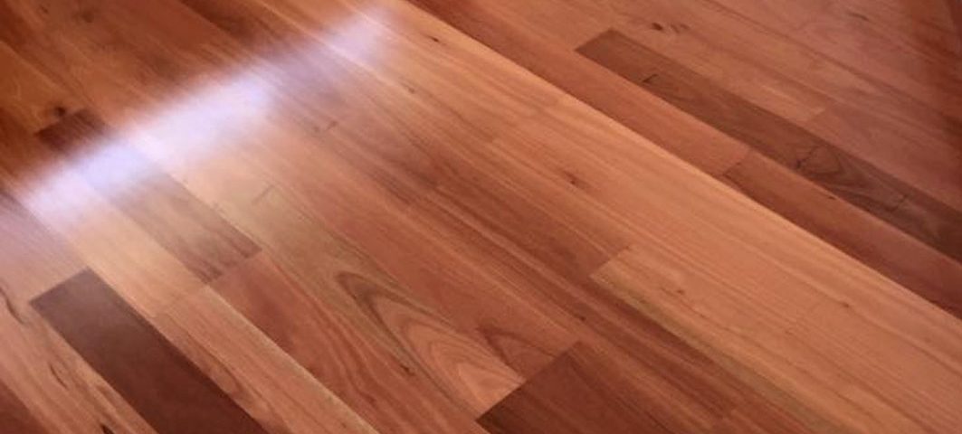 Blue Gum Timber Flooring Melbourne3