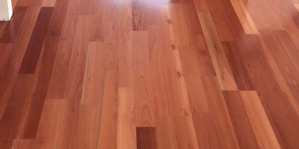 Blue Gum Timber Flooring Melbourne4