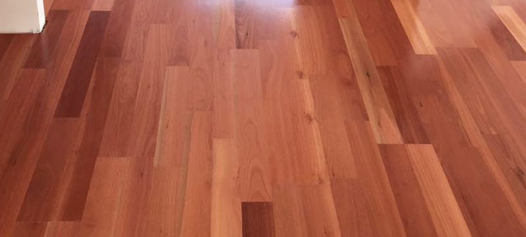 Blue Gum Timber Flooring Melbourne4